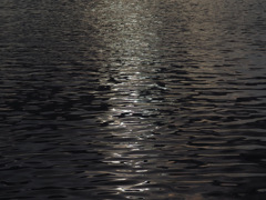 IMGP0460-20140115