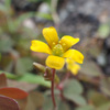 IMGP1683-1-20140819