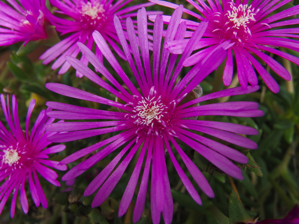 IMGP1702-21-20140821