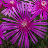 IMGP1702-21-20140821