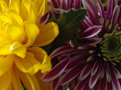 花