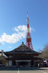 増上寺03