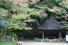 秋景12