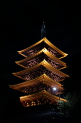 DPP_0004