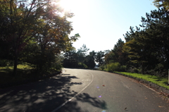葛西臨海公園２０１３_２4