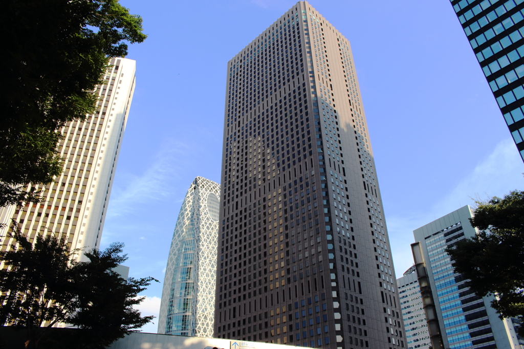Sinjyuku_0028