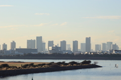 TOKYO_Park02