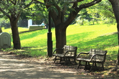 葛西臨海公園201408_02