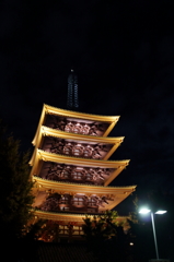 DPP_0005