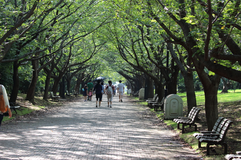 葛西臨海公園201408_01