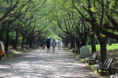 葛西臨海公園201408_01
