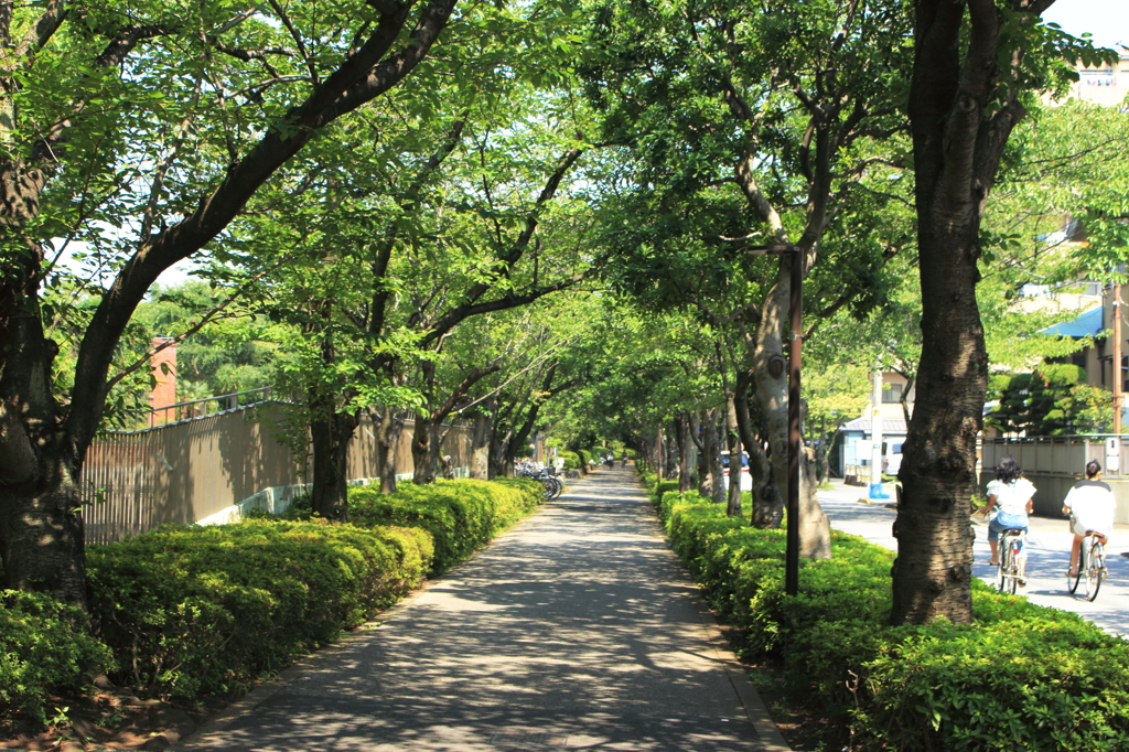 EDOGAWA_２０１５_01