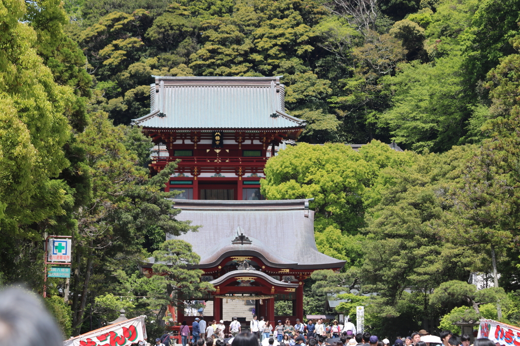 鶴岡八幡宮02