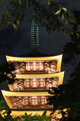 浅草２０１３
