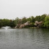 井之頭公園006