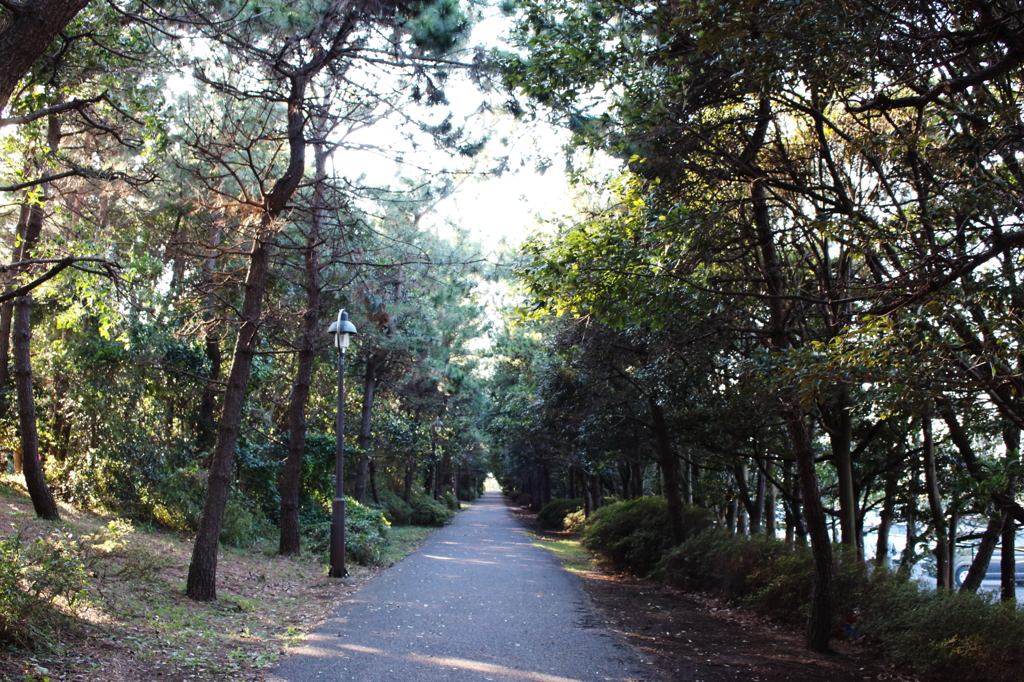 葛西臨海公園２０１３_２9