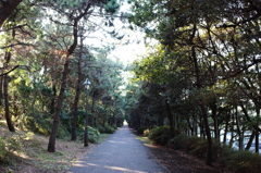 葛西臨海公園２０１３_２9