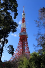東京タワー02