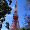 東京タワー02