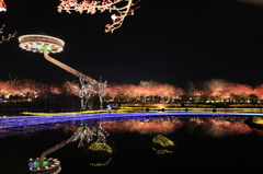 201403a_なばなの里