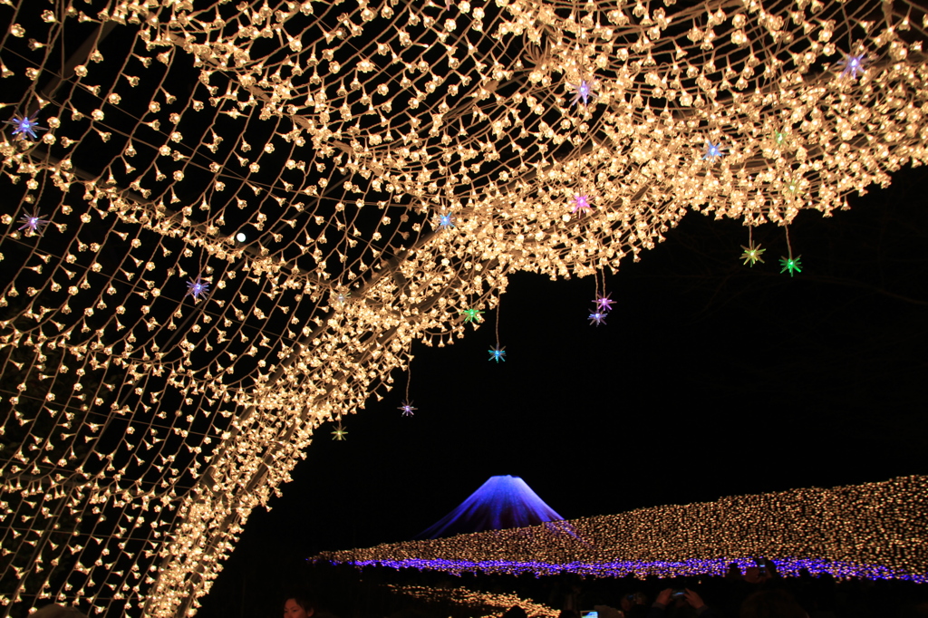 201403b_なばなの里