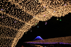 201403b_なばなの里