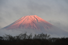 朝霧高原夕焼け