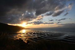 熊本キャラバン