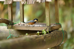 小屋