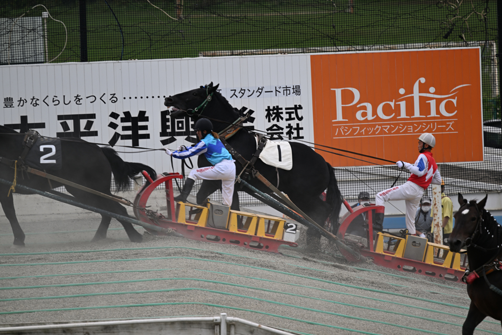 北海道キャラバン23