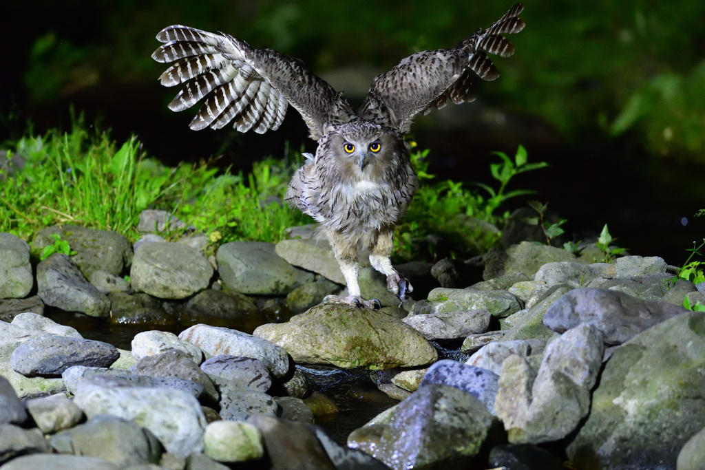 北海道キャラバンミッション２パート２