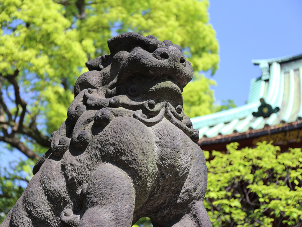 根津神社にて３