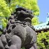 根津神社にて３