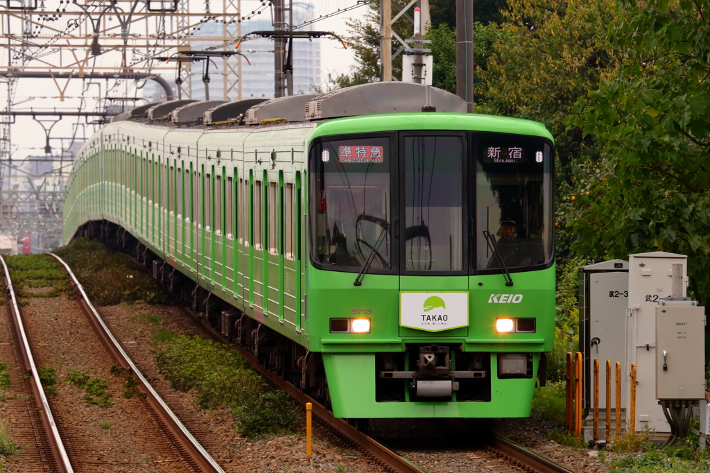 緑の京王線リベンジ