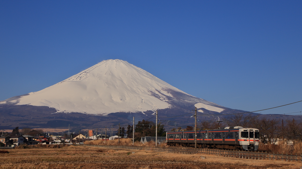 霊峰富士を背に受けて１