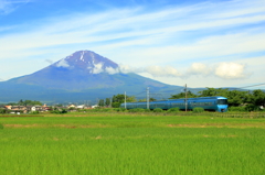 青と緑の世界