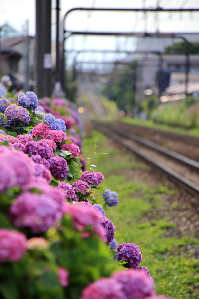 井の頭線沿線