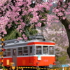 箱根登山の春１