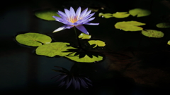 水鏡