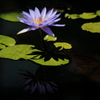 水鏡