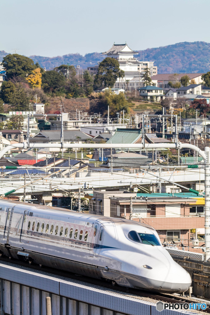 小田原城をバックに