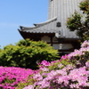 谷中