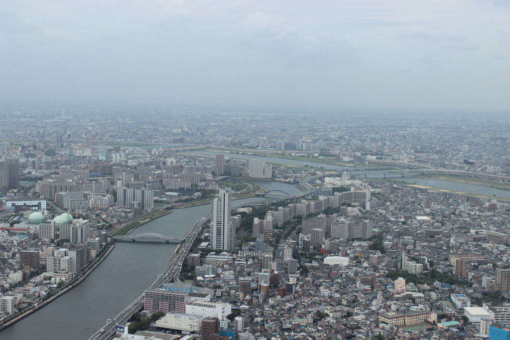 展望台より２