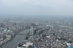 展望台より２