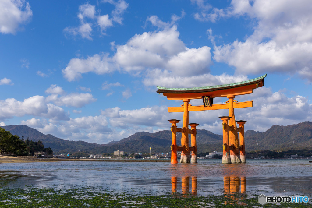 厳島神社大鳥居