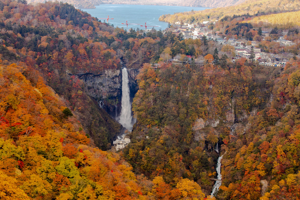 日光紅葉鉄板1