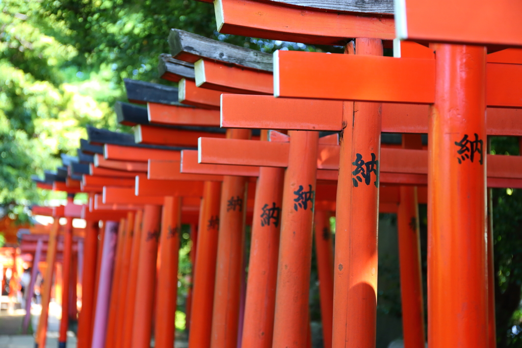 根津神社にて１