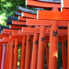 根津神社にて１