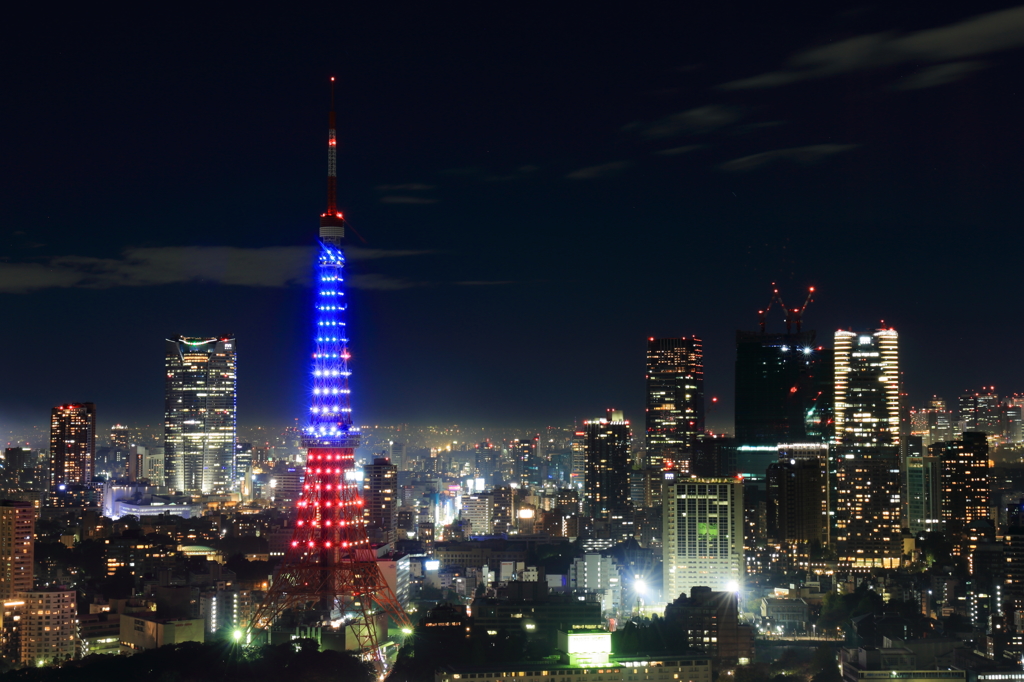 悲しきトリコロール
