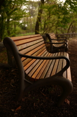 公園散歩１